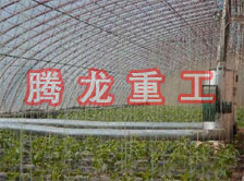 大棚花卉供暖設(shè)備、大棚卉采暖設(shè)備、大棚花卉取暖設(shè)備