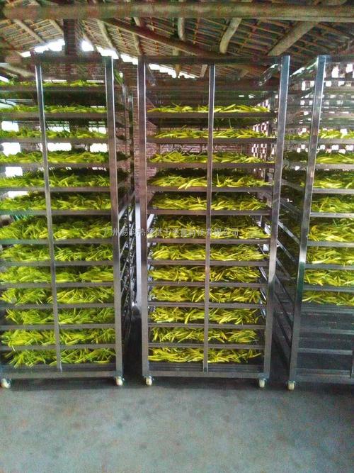 黃花菜烘干機(jī)、黃花菜烘干設(shè)備、黃花菜干燥機(jī)、黃花菜干燥設(shè)備、